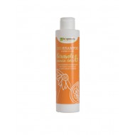 Sunflower & Sweet Orange Organic Shampoo